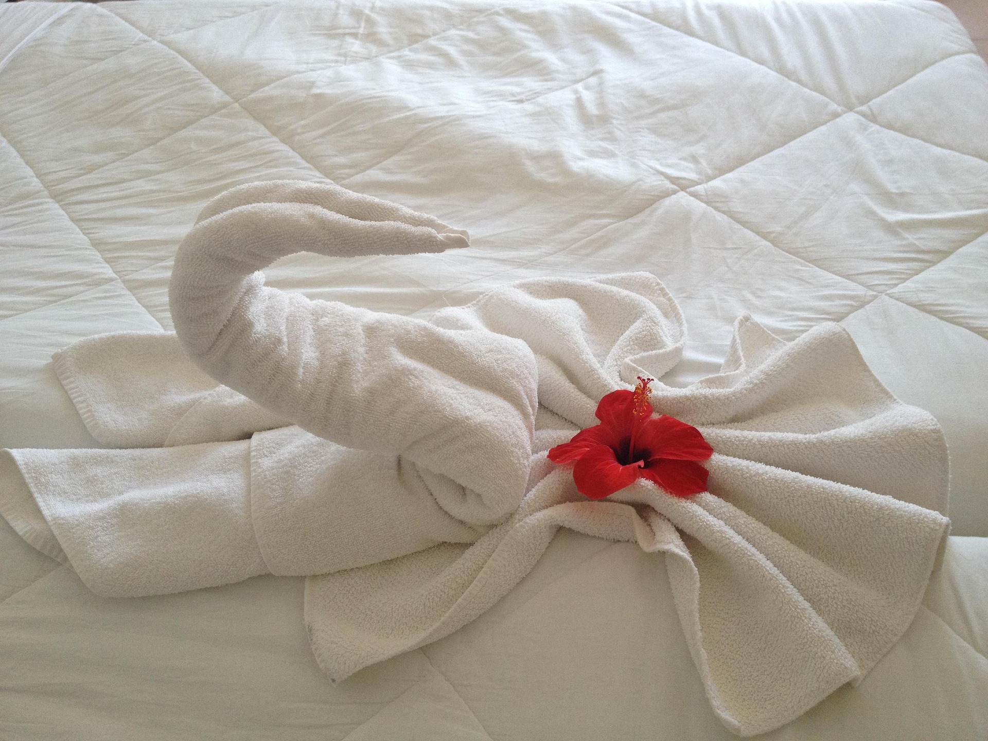 Room-service